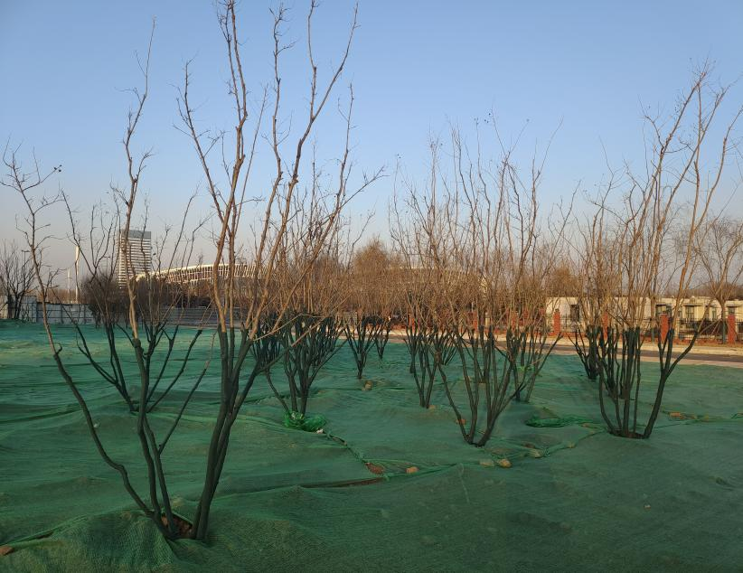 七彩园工程十月进场.png